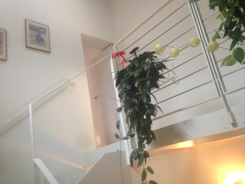 파르마 La Casina 아파트 외부 사진